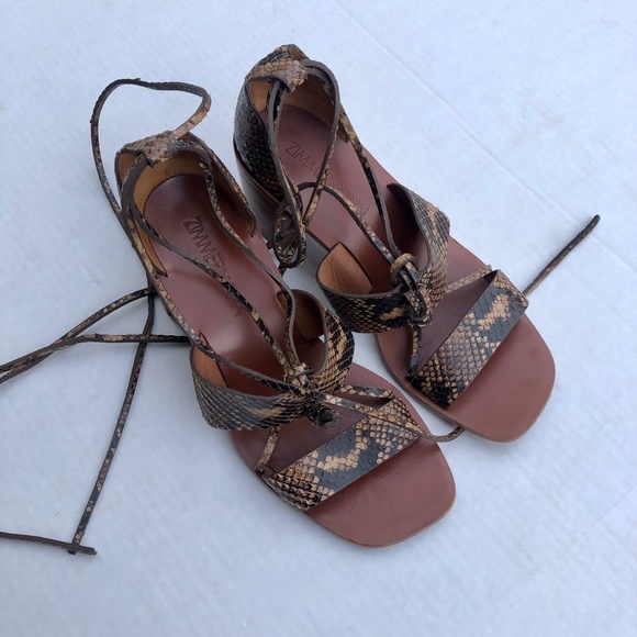 ZIMMERMANN Brown Snakeskin Block Heel Square Toe Gladiator Sandals - Picture 3 of 8